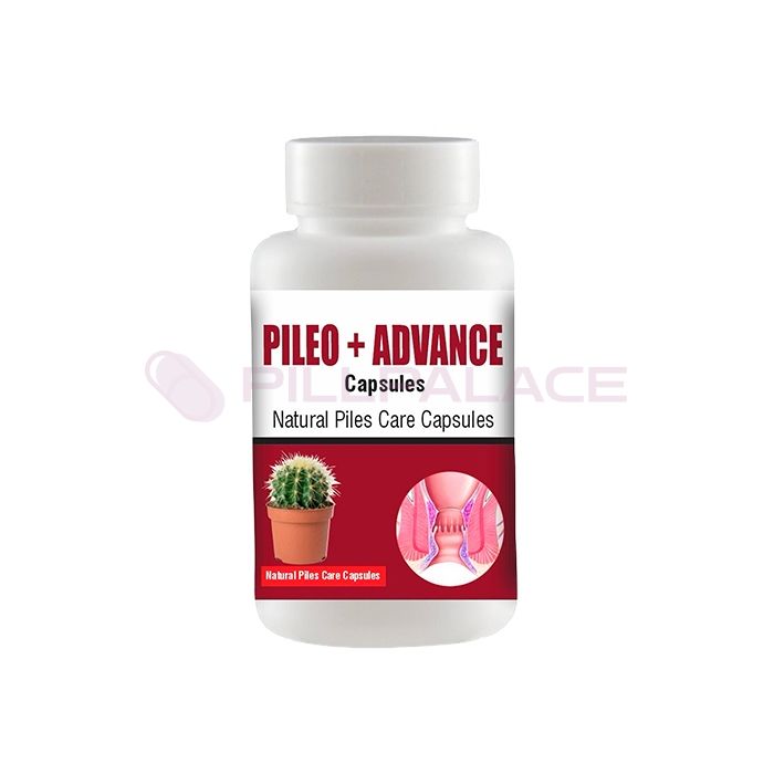 Pileo + Advance